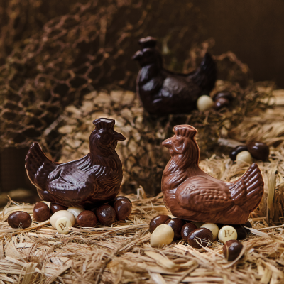 Poule et ses petits oeufs Chocolat Lait