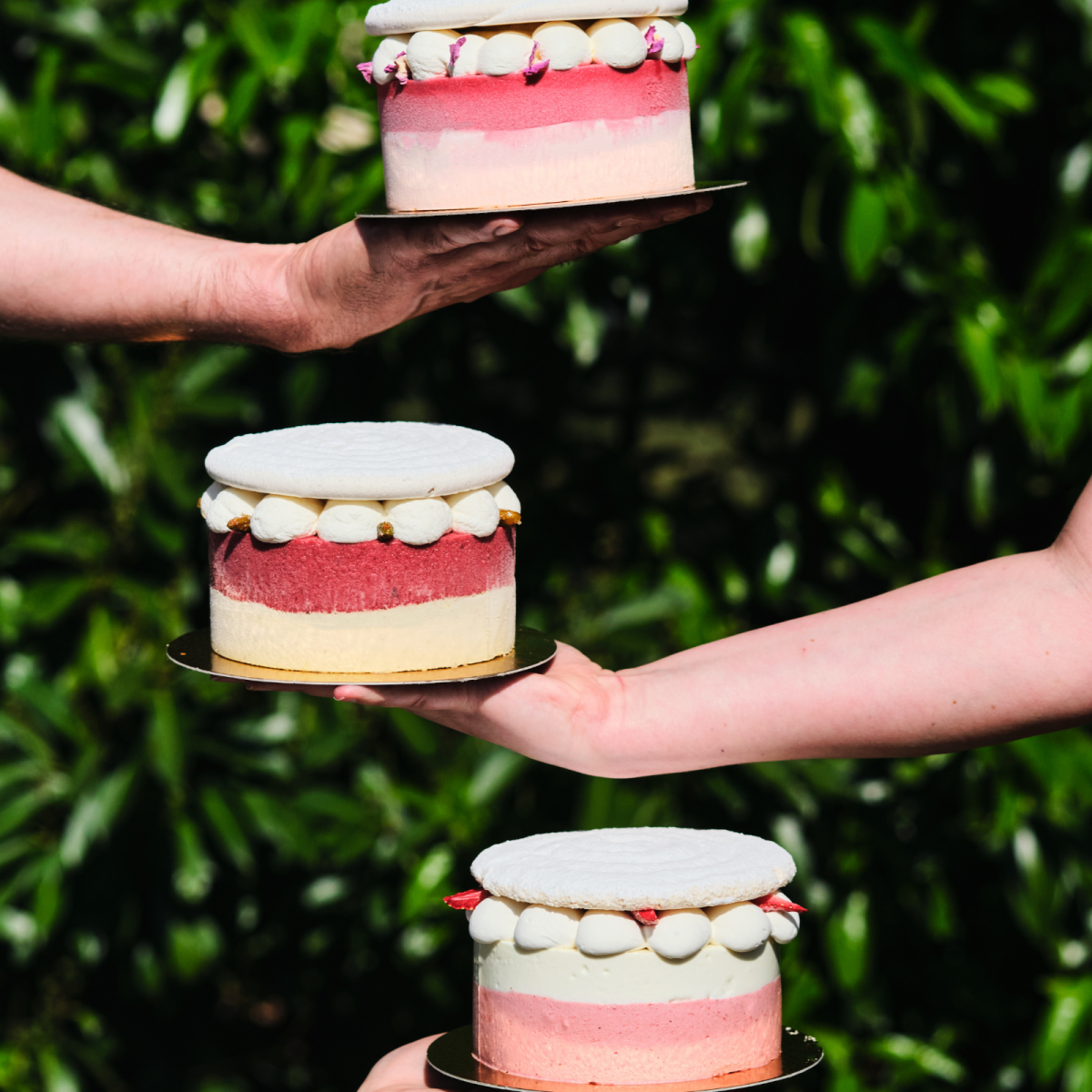 Vacherin glacé Framboise-Rose - Pâtisserie de Luxe - Paris