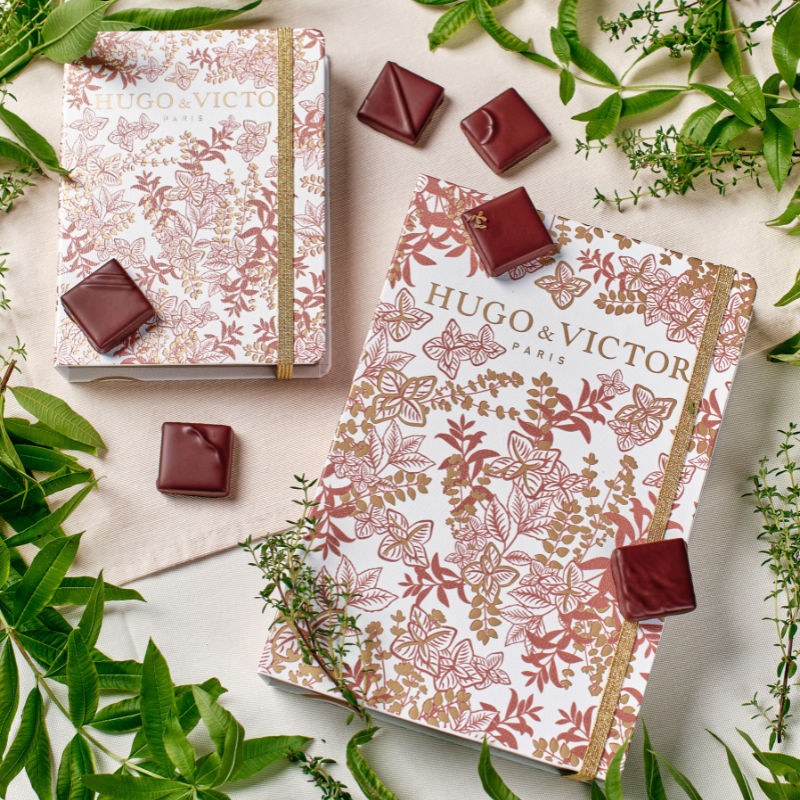 Chocolats artisanaux | Carnet Signature Infusions 12 carrés