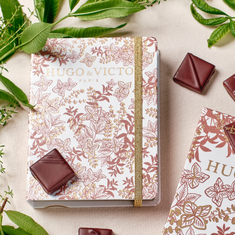 Chocolats artisanaux | Carnet Signature Infusions 12 carrés