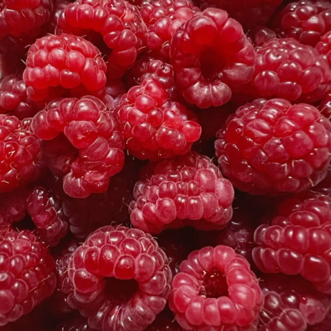 Tarte Framboise